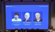Nobel Kedokteran 2026: Tiga Ilmuwan Ungkap Misteri Kerja Otak