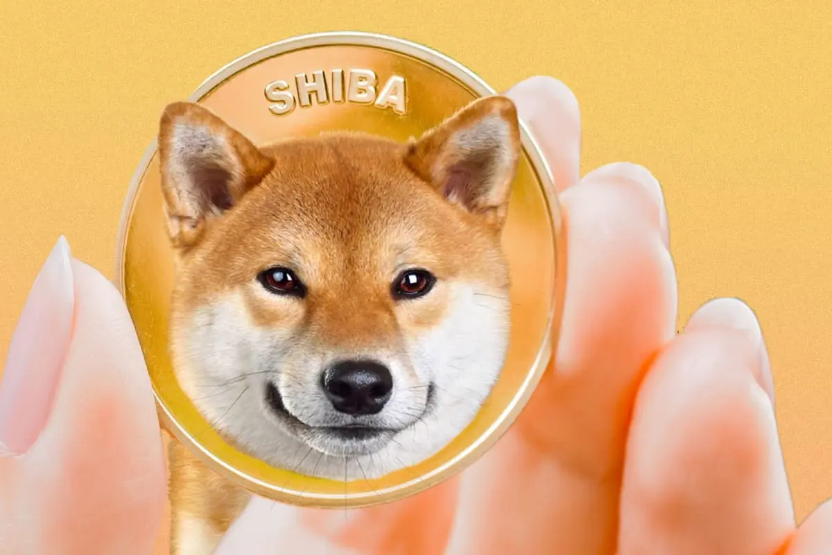 Shiba Inu