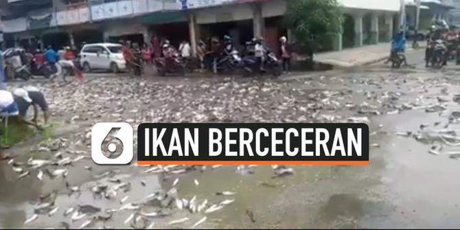 VIDEO: Ribuan Ikan Patin Berceceran di Jalan Raya Singkawang