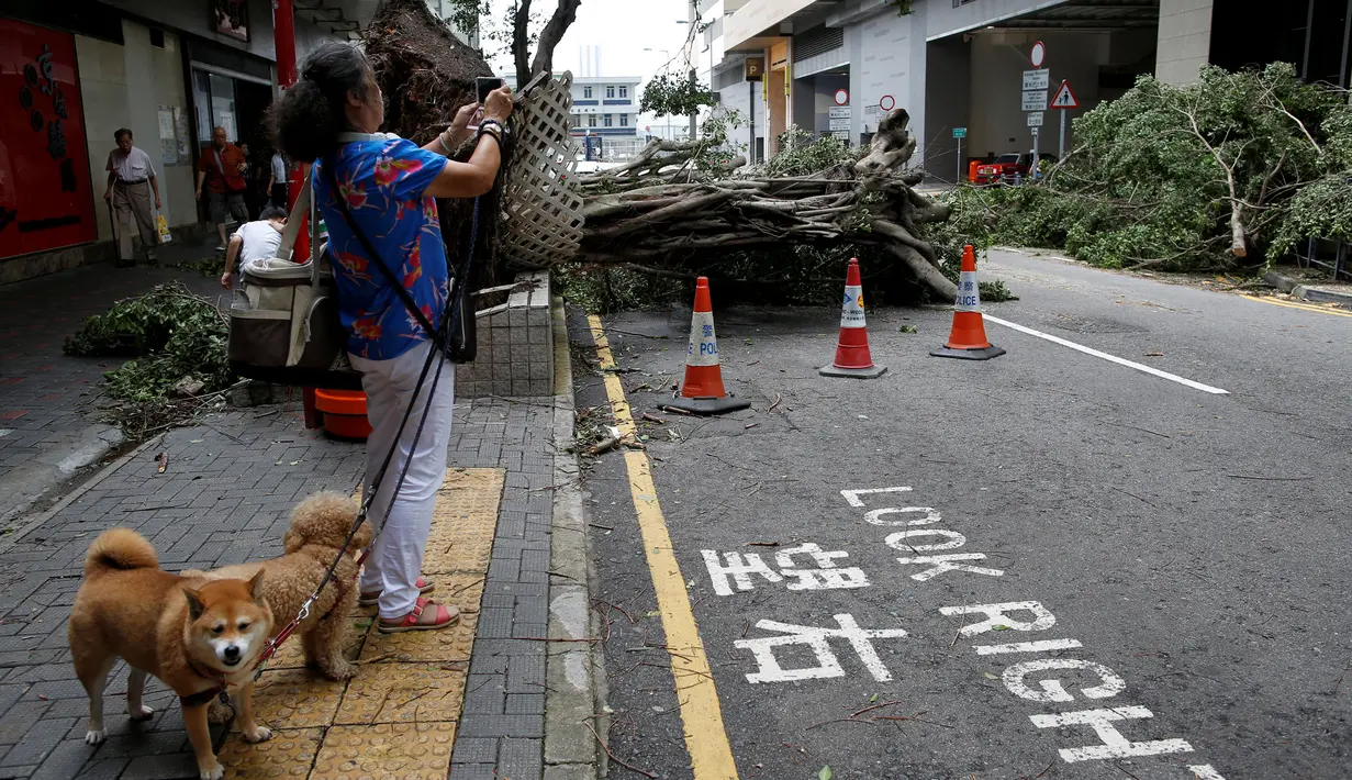 Warga mengambil foto pohon yang tumbang akibat angin yang kuat di Hong Kong, China, 2 Agustus 2016. Hongkong diterjang angin topan Nida. (REUTERS/Tyrone Siu)