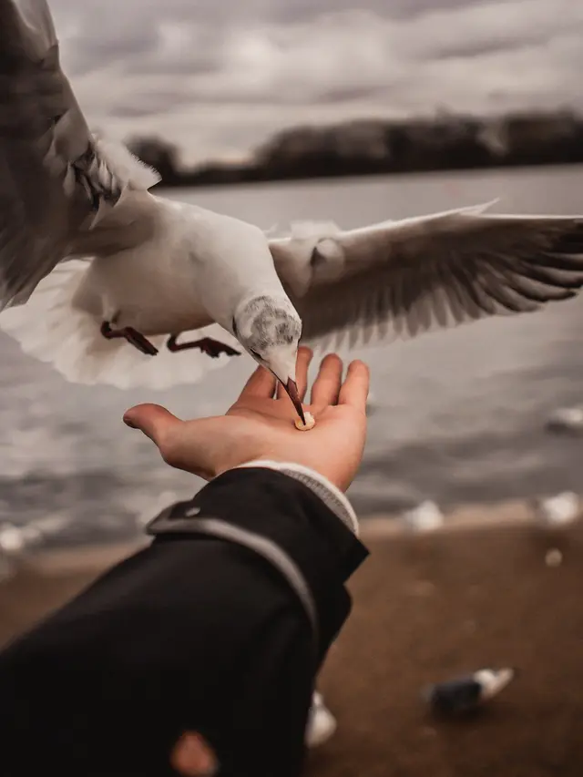 Ilustrasi makhluk hidup | Luca Nardone dari Pexels