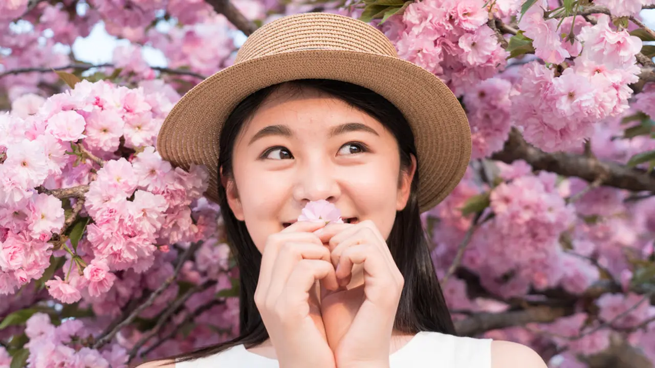 imut bahagia bunga sakura