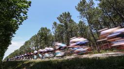 Pembalap melewati perkebunan saat beraksi pada ajang Tour de France 2023 di Bordeaux, Prancis (7/7/2023). Ajang balapan ini memiliki jarak tempuh hingga sepanjang 3.500 km. (Photo by Anne-Christine POUJOULAT / AFP)