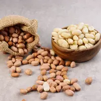 ilustrasi kacang tanah/sri widyowati/Shutterstock