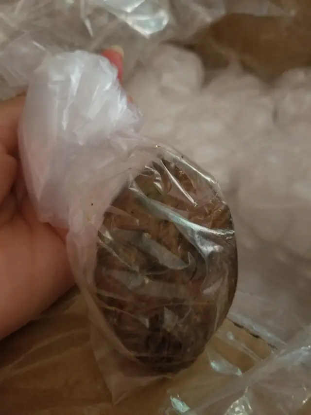 Bikin Heran, Lauk Makan Siang Penjual Online Ini Ikut Masuk Paket saat Dikemas