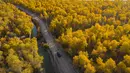 Foto dari udara yang diabadikan pada 22 Oktober 2020 ini menunjukkan pemandangan musim gugur hutan poplar gurun (populus euphratica) di sepanjang Sungai Tarim di Wilayah Xayar, Daerah Otonom Uighur Xinjiang, China barat laut. (Xinhua/Hu Huhu)