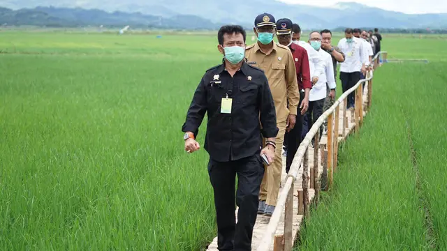 Mentan Syahrul Yasin Limpo