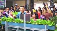 Gubernur DKI Jakarta, Basuki Tjahaja Purnama, saat memanen tanaman hidroponik. (Liputan6.com/Ahmad Romadoni)