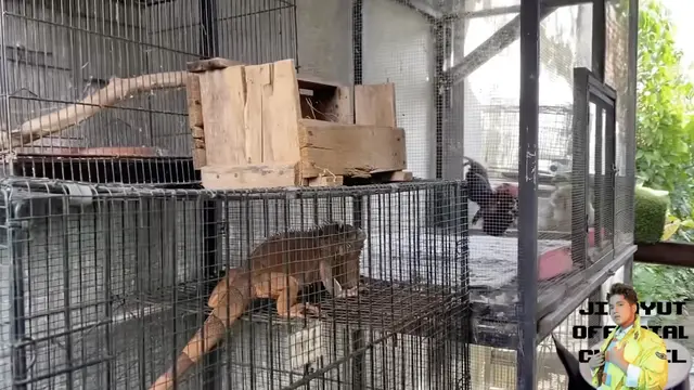 Potret Halaman Belakang Rumah Soimah di Jogja