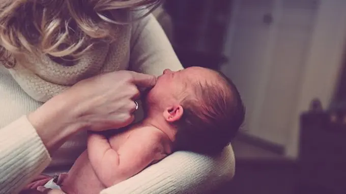 copyright pexels.com