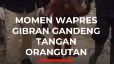 Di tengah pekatnya asap karhutla yang sempat menyulitkan pendaratan pesawat, Wapres Gibran Rakabuming tetap melanjutkan kunjungannya ke Palangka Raya, Kalimantan Tengah. Ia meninjau Pusat Rehabilitasi Orangutan Nyaru Menteng dan memastikan satwa terdampak karhutla mendapat penanganan yang optimal...