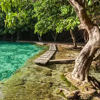 Emerald Pool, Krabi, Thailand. (orientalescape.com)