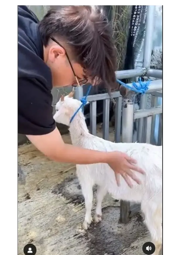 Lama Vakum dari Layar Kaca, Ini 7 Potret Baim Alkatiri yang Pilih Jadi Juragan Kambing