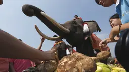 Para pengunjung memberikan makanan untuk gajah saat perayaan Hari Gajah Nasional di kota bersejarah, Thailand, (3/11). Gajah sendiri dianggap menjadi simbol kesucian dan kekuasaan kerajaan. (REUTERS / Chaiwat Subprasom)