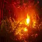 Api melumat semak belukar di Pekanbaru dan bisa memicu kabut asap kalau dibiarkan. (Liputan6.com/M Syukur)