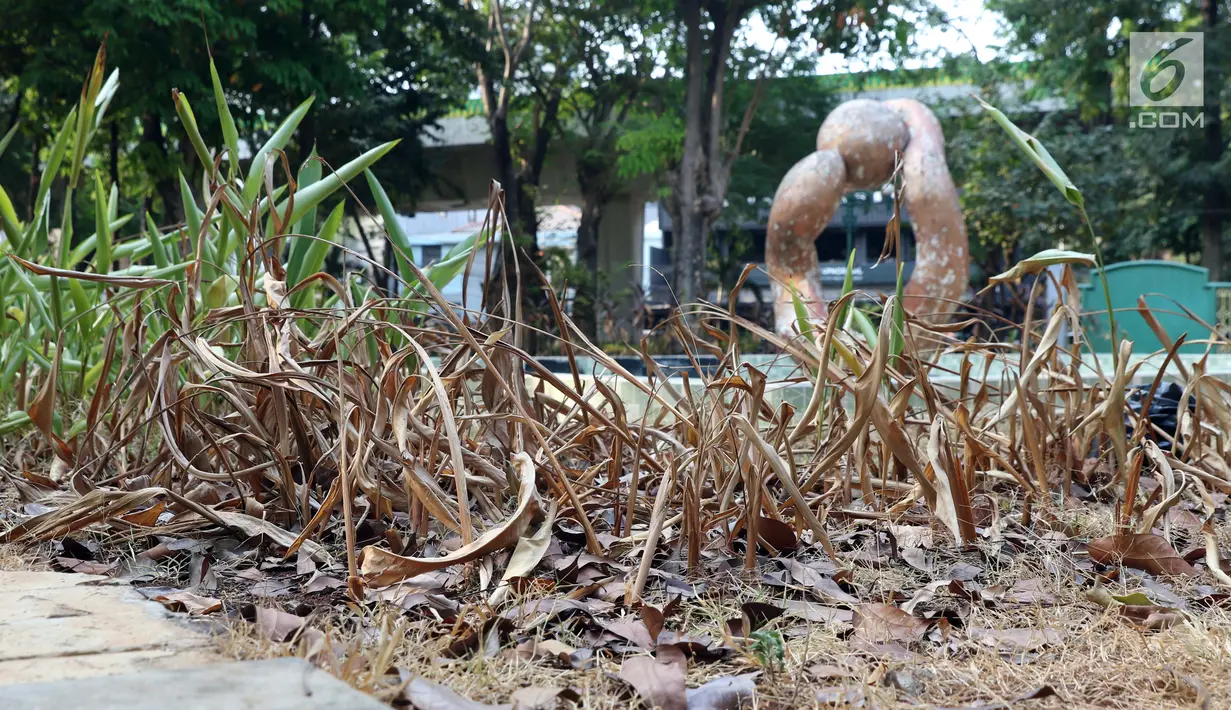 Ceceran daun kering dan tanaman rusak terlihat menumpuk di area Taman Puring yang berada di kawasan Jakarta Selatan, Minggu (15/9/2019). Nampak kondisi taman memprihatinkan, sejumlah bagian taman terlihat rusak dan kotor. (Liputan6.com/Helmi Fithriansyah)