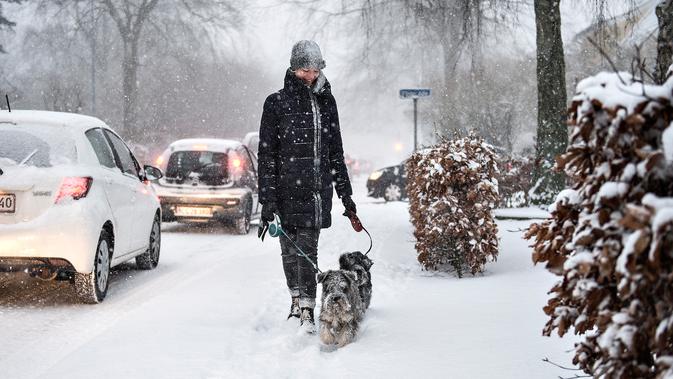 Eropa Beku: Gelombang Dingin Ekstrem Renggut 6 Nyawa dan Lumpuhkan Transportasi