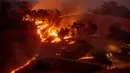 Api membakar lereng bukit di kawasan Sonoma, California, Amerika Serikat, Sabtu (26/10/2019). Kebakaran hutan kian tak terkendali akibat angin kencang yang bertiup. (AP Photo/Nuh Berger)