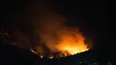 Kebakaran kali ini menambah daftar panjang bencana lingkungan yang melanda kawasan tersebut. Tampak dalam foto, kobaran api menghanguskan kawasan hutan di Gunung Pirque, El Hoyo, wilayah Patagonia provinsi Chubut, Argentina pada 7 Januari 2026. (Martin LEVICOY/AFP)