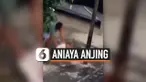 TEREKAM KAMERA, SEKELOMPOK PRIA ANIAYA ANJING HINGGA TEWAS
