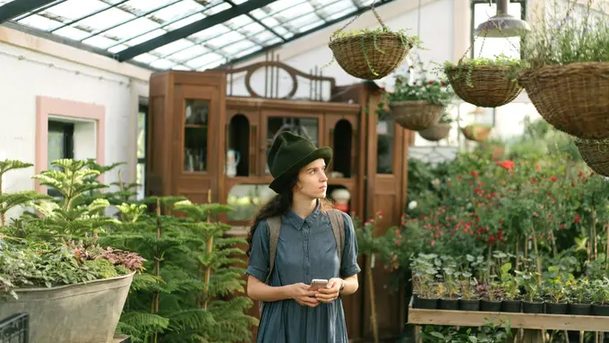 Tips Bikin Kebun Sayur Depan Rumah