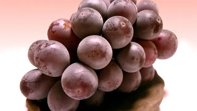 Anggur Kyoho (Sumber foto: thelistli.com)
