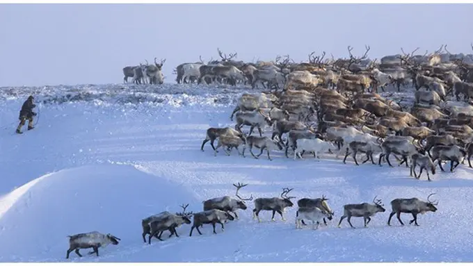 Foto : copyright shutterstock.com