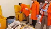 Seribuan lebih ikan koi dimusnahkan karena positif mengandung virus Carpedema virus disease (CEVD) atau biasa disebut koi sleepy disease. (Foto: BKIPM Jakarta I)