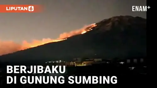 VIDEO: Gunung Sumbing Terbakar Hebat, Puluhan Pendaki Dievakuasi