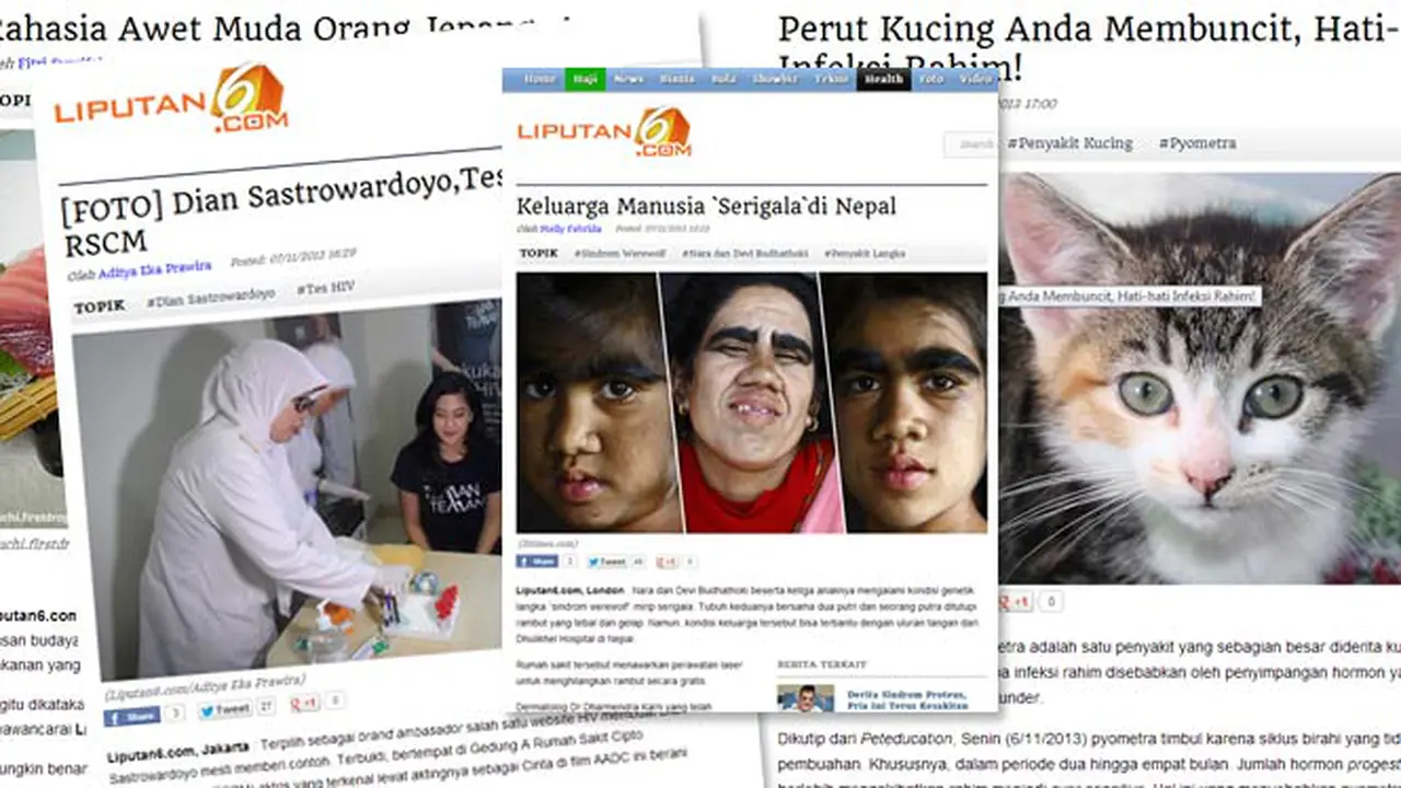 top-artikel-131107c.jpg