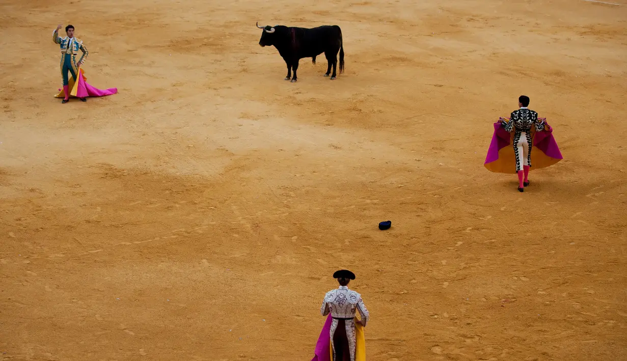 Sejumlah Matador Spanyol bertarung melawan banteng saat Festival Adu Banteng Corpus di Granada pada 25 Mei 2016. (AFP PHOTO / JORGE GUERRERO)