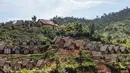 Untuk diketahui, Seren Taun merupakan tradisi yang sudah mengakar dalam kebudayaan masyarakat Sunda yang agraris. (Aditya AJI/AFP)