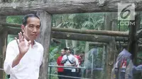 Jokowi Resmikan Masjid Terbesar Kedua di NTB