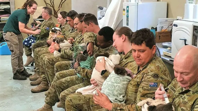 Tentara Australia memeluk dan memberi makan koala yang selamat dari kebakaran hutan di Cleland Wildlife Park di Crafers, Australia Selatan.