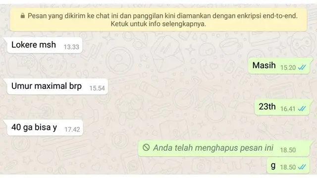 7 Chat Orang Cari Kerja Ini Bikin Emosi