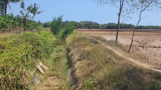 Kementerian Pekerjaan Umum (PU) memperluas cakupan jaringan irigasi induk yang bersumber dari Bendung Cibaliung di Kabupaten Pandeglang, Banten. (Foto: Kementerian PU)