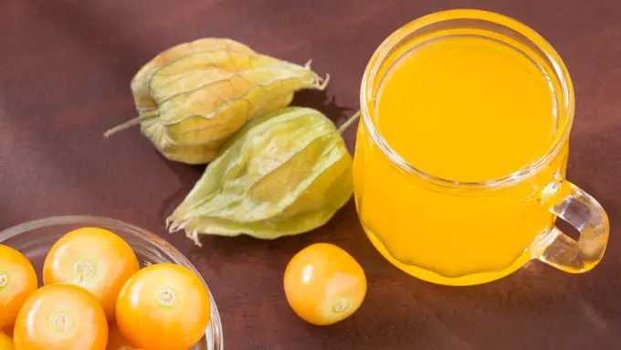 buah ciplukan jus rebusan air