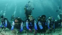 Pulihkan Ekosistem Wisata Laut, Pekerja BRI Lakukan Transplantasi Terumbu Karang di Perairan Kepulauan Sabang