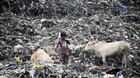 Tumpukan sampah di kota Mumbai yang tak biasa ini diibaratkan sebagai gunung sampah (AFP) 