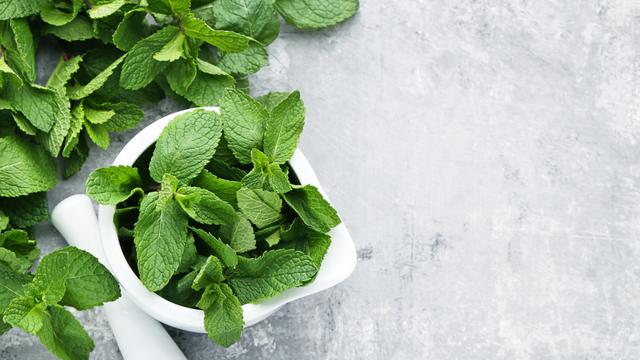 Tak Perlu Pakai Perangkap, Ternyata Mengusir Tikus bisa Pakai 4 Bumbu Dapur Ini