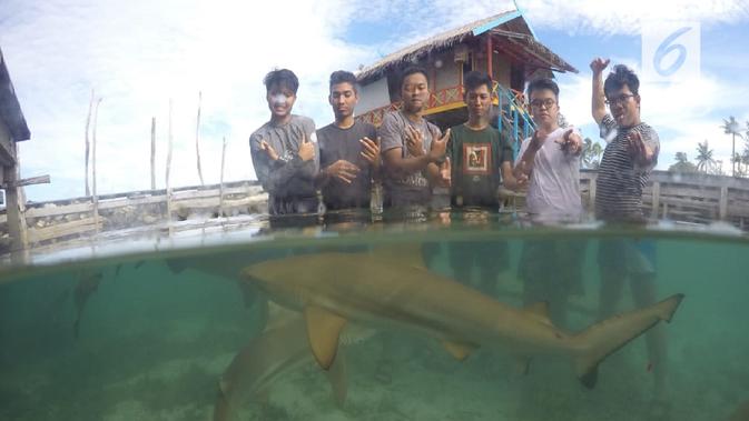 Beginilah trik berenang bersama hiu dengan aman di Karimunjawa. (foto: Liputan6.com /