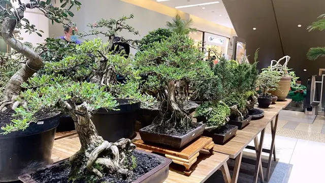 Urban Garden Summarecon Mall Serpong. (dok: Summarecon Mall Serpong)