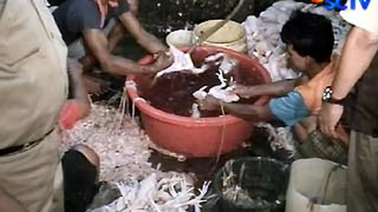 090909aayam-tiren.jpg