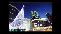 Beginilah rupa pohon-pohon Natal dari berbagai tempat di dunia.