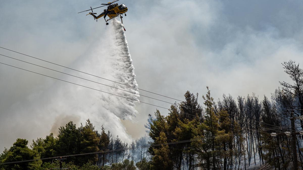 Kebakaran Hutan, Nyaris Separuh Pulau di Yunani Hangus Terbakar