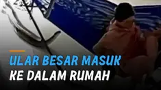 Momen mengerikan ketika seorang ibu sedang menidurkan anaknya dan ada ular besar masuk ke dalam rumah.