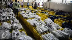 Ikan yang telah dibekukan dilelang di pelelangan ikan Muara Angke, Jakarta, Kamis (24/3). Pada 2015 secara total Indonesia telah memanfaatkan potensi ekonomi sektor kelautan sekira Rp350 triliun. (Liputan6.com/Faizal Fanani)