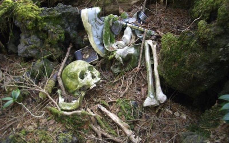 Hutan Aokigahara menjadi lokasi bunuh diri favorit di Jepang