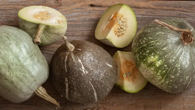 Timun Suri, Blewah, dan Melon