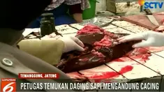 Daging sapi yang terjangkit cacing langsung disita untuk dimusnahkan.